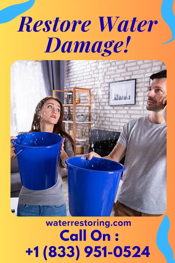 water restoration Master Disaster Recovery & Sons Marshfield