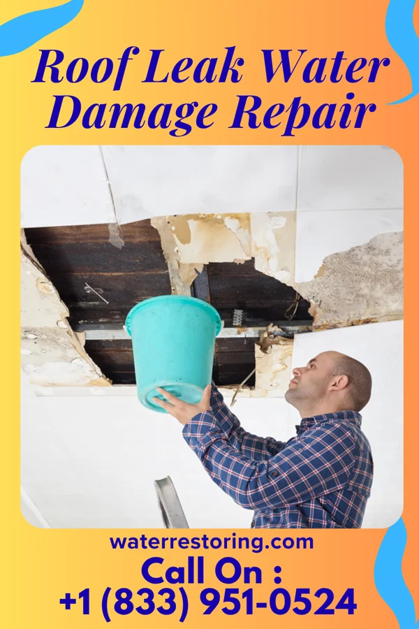 Roof Leak Water Damage Repair in Marshfield, MO