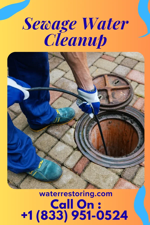 Sewage Water Cleanup in Marshfield, MO