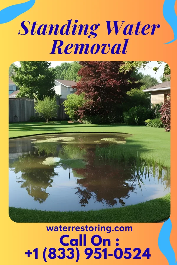 Standing Water Removal in Marshfield, MO